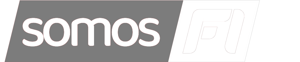 Logo somosF1mx en grises